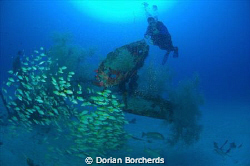 Diver at the Deep Pete.This is a WW2 plane wreck with lot... by Dorian Borcherds 
